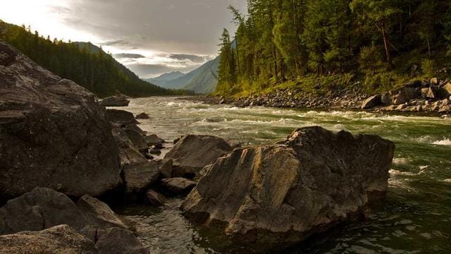 Dungeons & Dragons 5th Edition